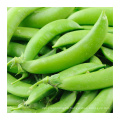 2021 New Crop Chinese High Quality Cheap Fresh Carrot Green Sugar Snap Pea